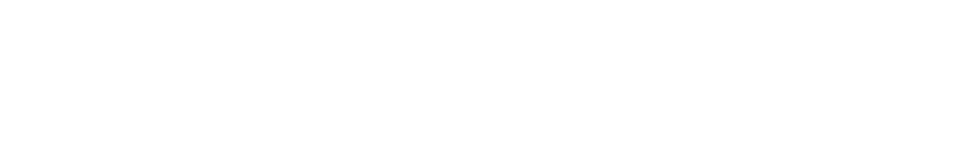 Borusan Quartet